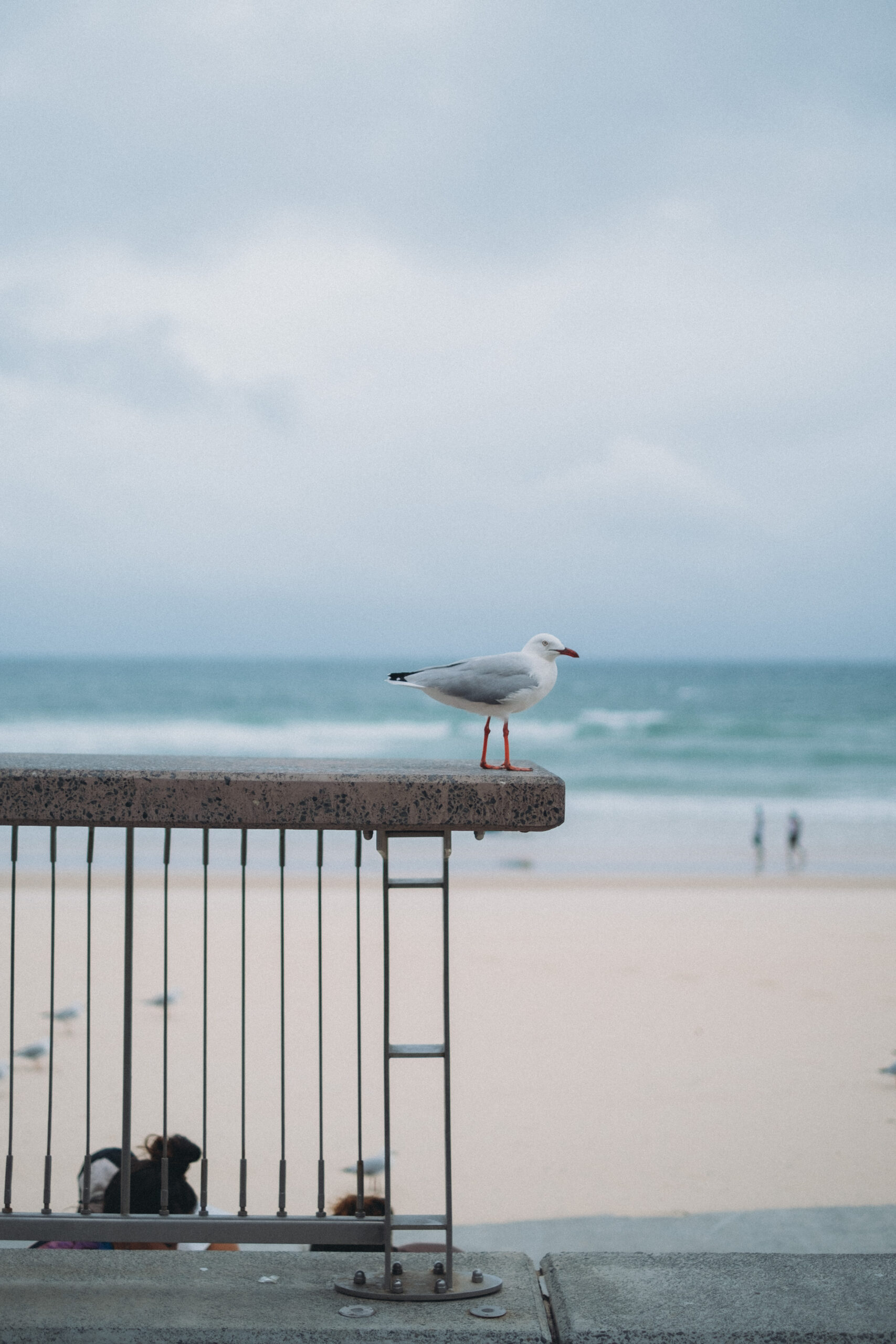 Coolangatta