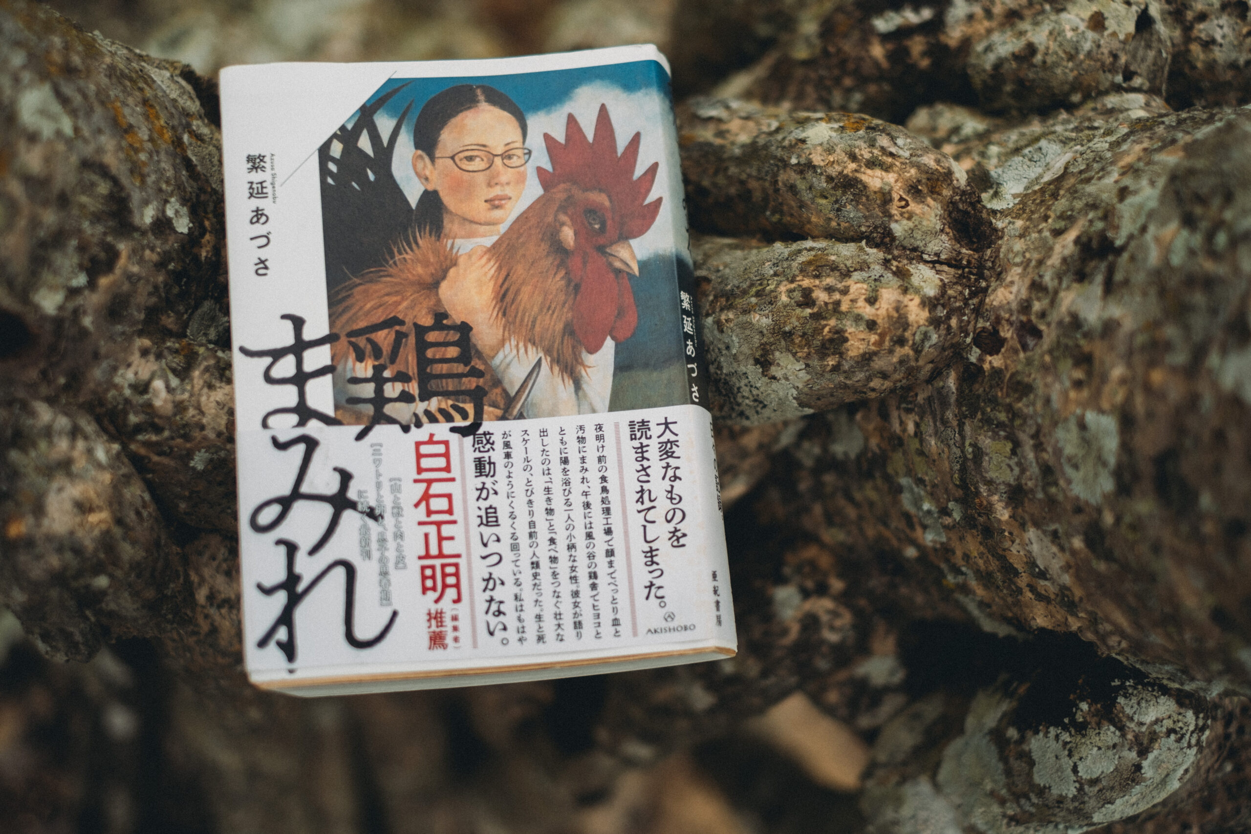 鶏ままみれ 読書ノート